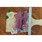 Whole Squid 15cm Up RUM 1Kg 1