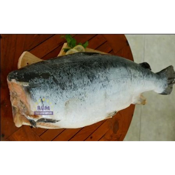 Salmon Headless RUM berat 1Kg